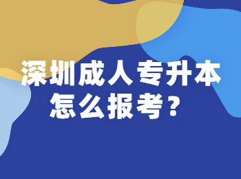 深圳成人專升本怎么報(bào)考？